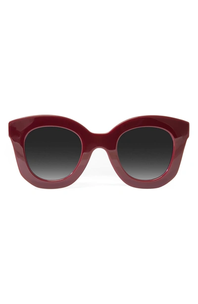 Shop Aqs Nori 47mm Cat Eye Sunglasses In Burgundy/ Black