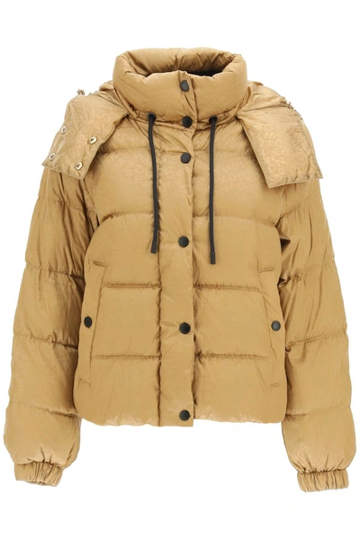 Weekend Max Mara Erik Down Jacket In Water-repellent Logo Fabric In  Brown,black | ModeSens