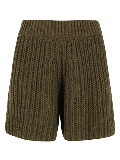 Shop Alanui High Waisted Knit Shorts In Green