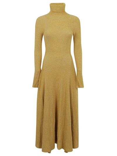 Shop Alanui Open Back High Neck Maxi Dress In Yellow