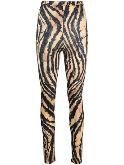 Shop Roberto Cavalli Zebra-print Leggings In 褐色