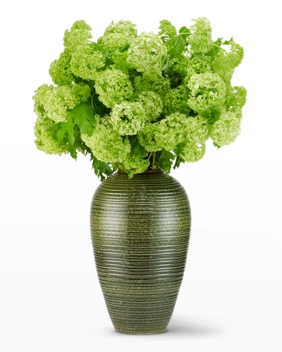 Shop Aerin Calinda Tapered Vase