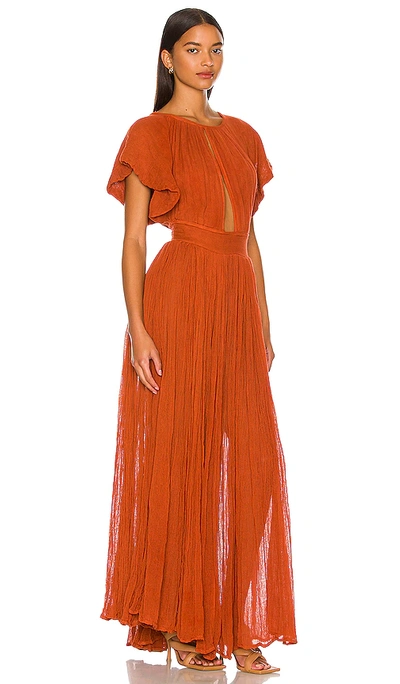 Shop Jen's Pirate Booty Monaco Maxi Dress In Burnt Orange