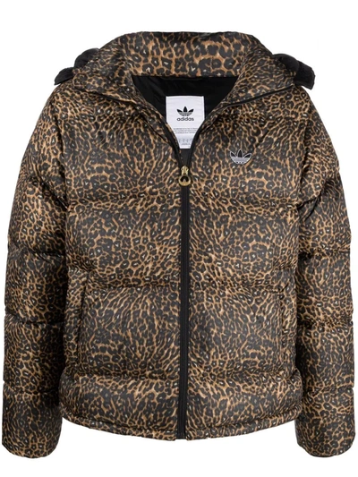Adidas Originals Leopard print Logo Feather down Puffer Jacket In Nude ModeSens