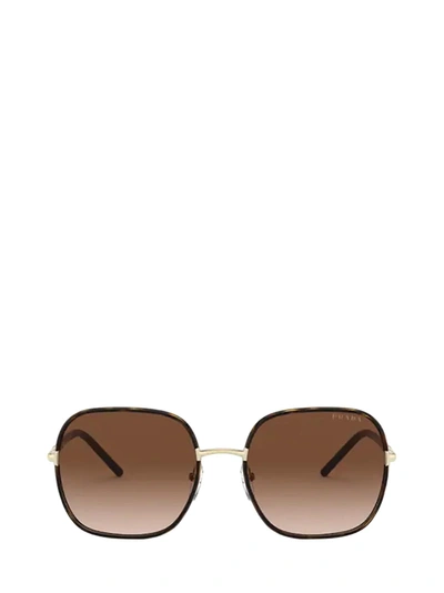 Shop Prada Pr 67xs Havana Sunglasses