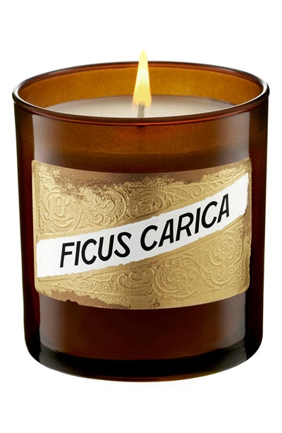 Shop C.o. Bigelow Ficus Carica Candle