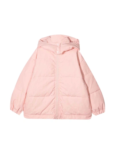 Shop Fendi Pink Lightweight Jacket With Hood In Rosa