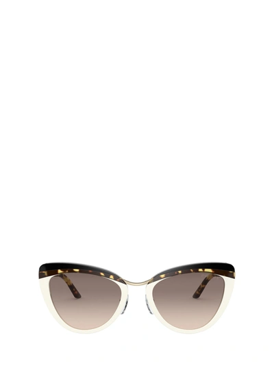 Shop Prada Pr 25xs Havana &amp; Ivory Sunglasses In Havana & Ivory