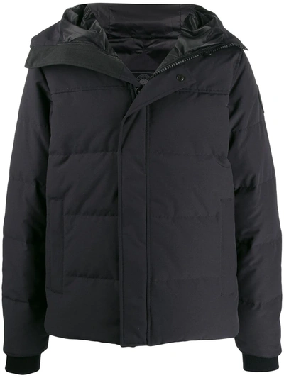 Shop Canada Goose Hooded Puffer Coat In Blue