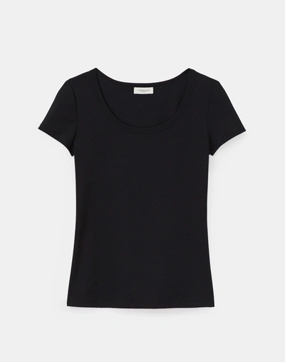 Shop Lafayette 148 Petite Cotton Rib Scoop Neck T-shirt In Black