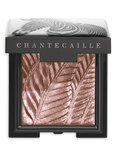 Shop Chantecaille Women's Luminescent Eye Shade In Zebra