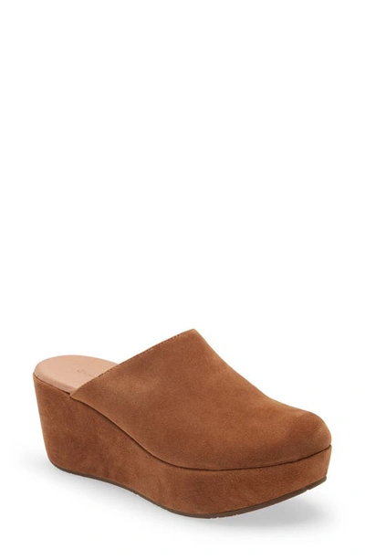 Shop Chocolat Blu Yoma Platform Clog In Brown Suede