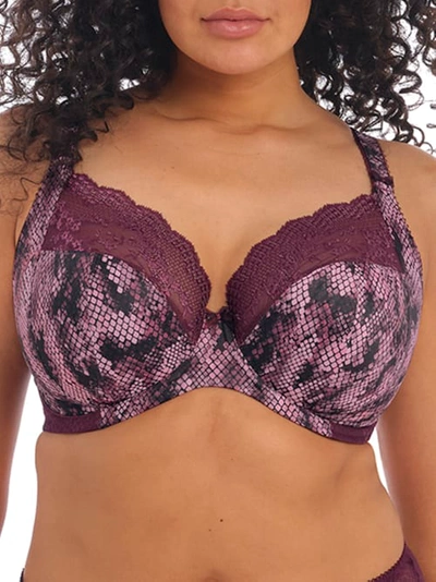 Shop Elomi Lucie Side Support Plunge Bra In Mambo