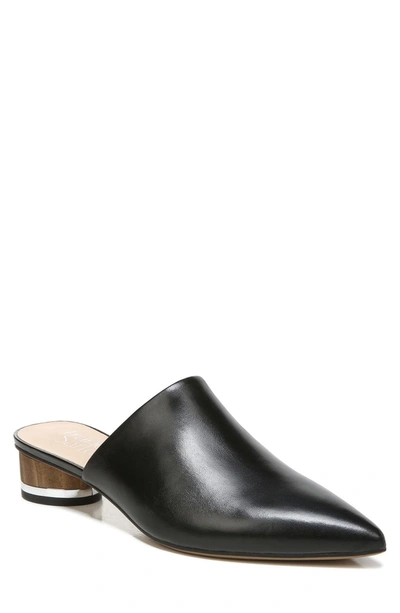 Shop Franco Sarto Viola Pointed Toe Mule In Black