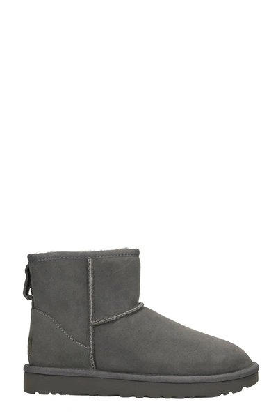 Shop Ugg Mini Classic Ii Low Heels Ankle Boots In Grey Suede