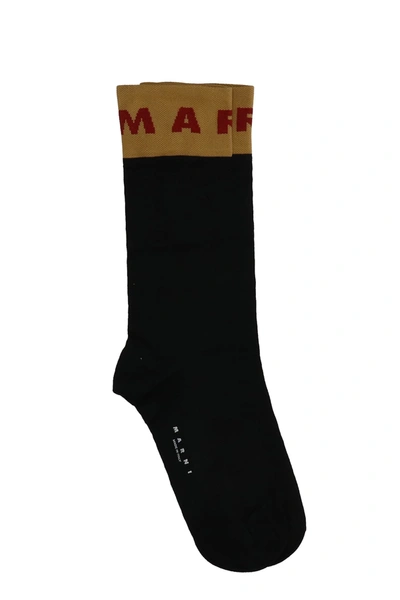 Shop Marni Socks In Black Cotton