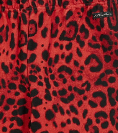 Shop Dolce & Gabbana Leopard-print Cotton-blend Leggings In Leo Nero F.rosso Fra
