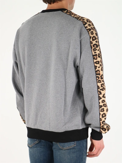 Shop Dolce & Gabbana Dg Animalier Print Sweatshirt In Grey