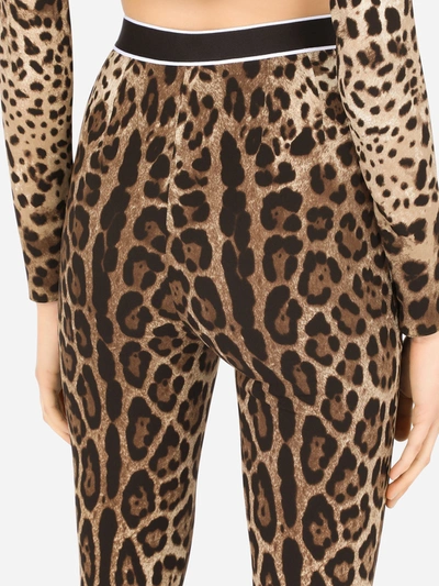Shop Dolce & Gabbana Leggins In Leopard Print Charmeuse In Printed
