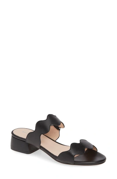 Shop Patricia Green Bali Slide Sandal In Black Leather