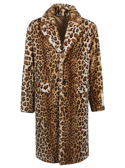 Shop Palm Angels Leopard Fur Coat In Brown Black
