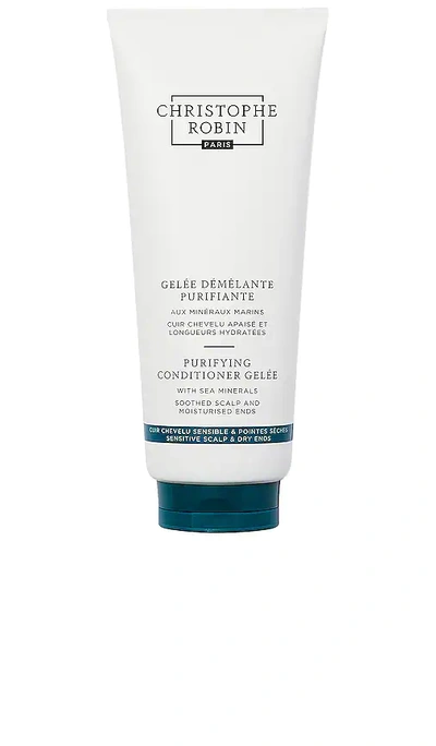 Shop Christophe Robin Purifying Conditioner Gelee In N,a