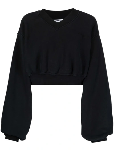 Shop Alexander Wang V-neck Cropped Pullover In Black