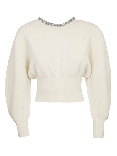 Shop Alexander Wang Crystal Tubular Necklace Pullover In Ivory