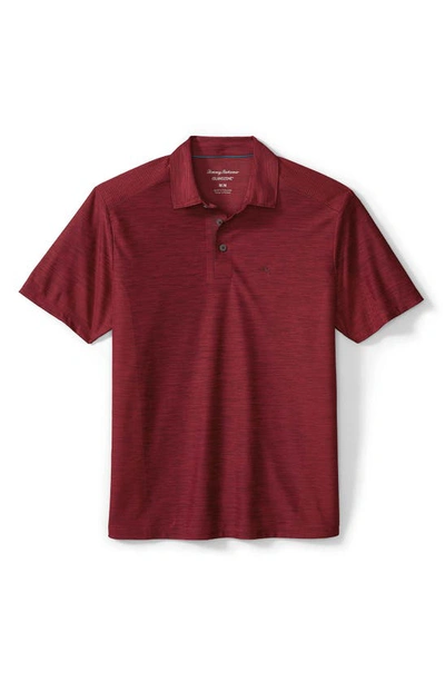 Shop Tommy Bahama Palm Coast Polo In Cordial