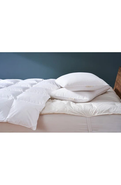 Shop Coyuchi Organic Cotton Pillow Protector In Alpine White