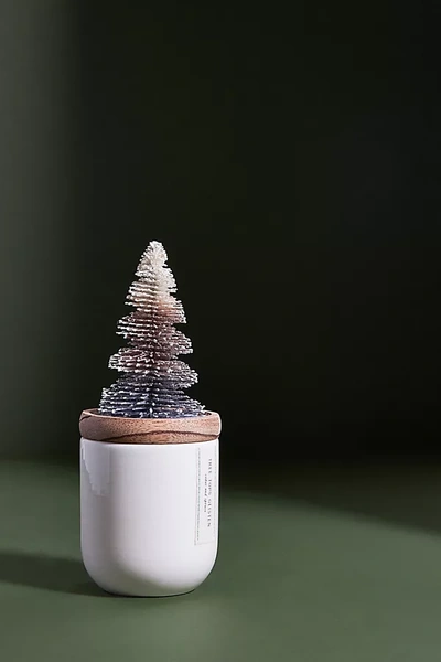 Shop Anthropologie Frosted Bottle Brush Tree Candle In Purple