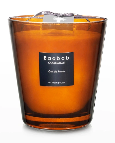 Shop Baobab Collection Max 16 Les Prestigieuses Cuir De Russie Scented Candle