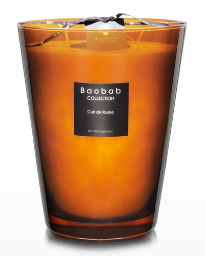 Shop Baobab Collection Max 24 Les Prestigieuses Cuir De Russie Scented Candle