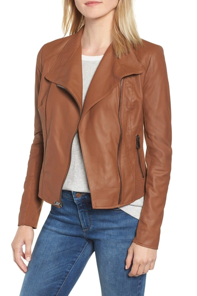 Shop Andrew Marc Felix Leather Moto Jacket With Knit Panels In Whiskey