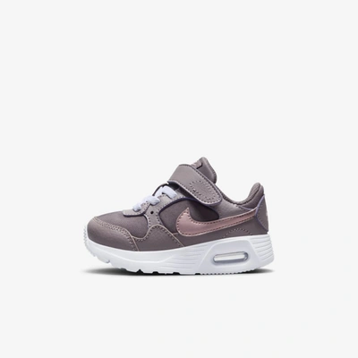 Shop Nike Air Max Sc Baby/toddler Shoes In Violet Ore,light Violet Ore,pink Glaze