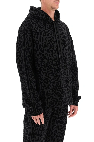 Shop Dolce & Gabbana Flocked Leopard Hoodie In Black