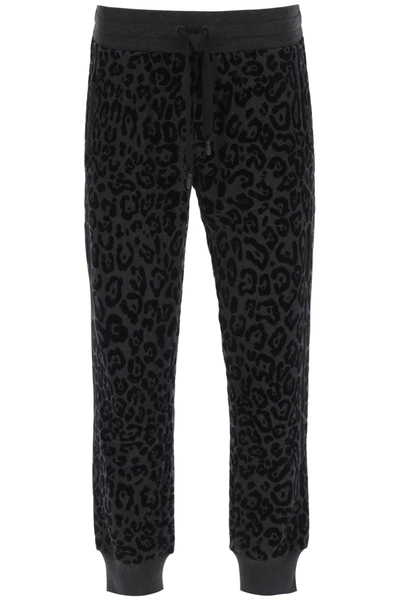Shop Dolce & Gabbana Flocked Leopard Joggers In Black