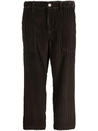 Shop Jejia Corduroy Cropped Trousers In Braun