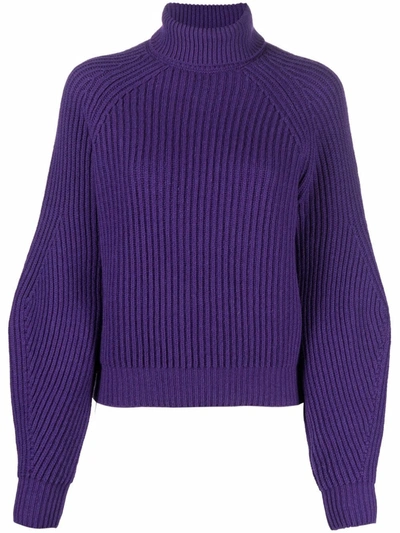 Shop Wandering Roll-neck Ribbed Knit Jumper In Violett