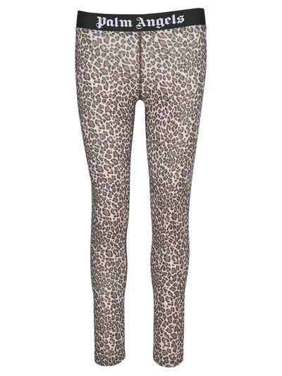 Shop Palm Angels Leopard Printed Leggings In Multi