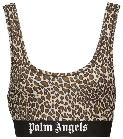Shop Palm Angels Leopard-print Sports Bra In Brown Whi