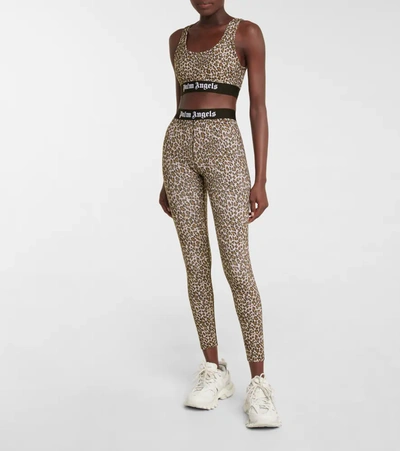 Shop Palm Angels Leopard-print Sports Bra In Brown Whi