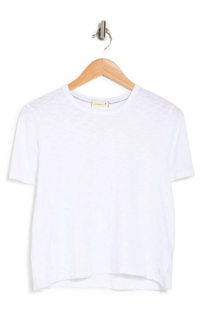 Shop Alternative Hayes Crop Slub Organic Cotton T-shirt In White