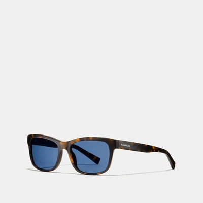 Shop Coach Hudson Rectangle Sunglasses In Brown
