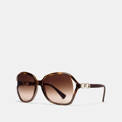 Shop Coach Kissing C Sunglasses In Brown
