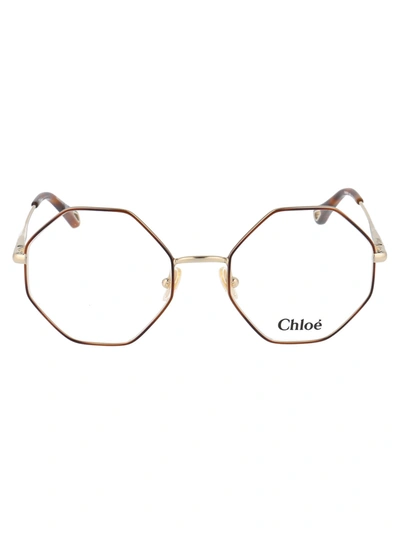 Shop Chloé Chloe Eyewear Optical In 008 Havana Gold Transparent