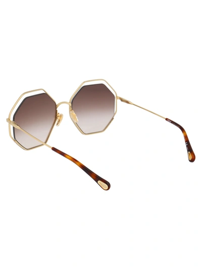 Shop Chloé Chloe Eyewear Sunglasses In 001 Havana Gold Brown