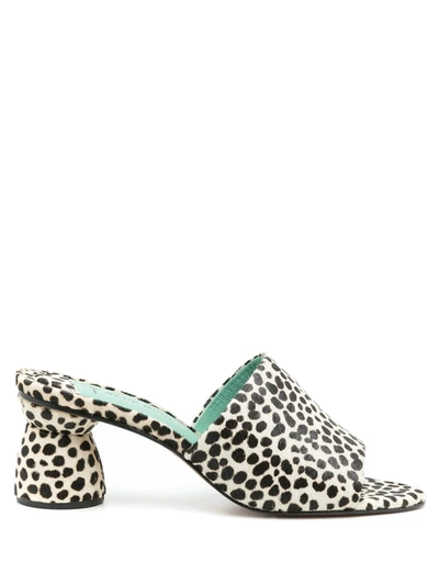 Shop Blue Bird Shoes Leopard Print Mule Sandals In Black