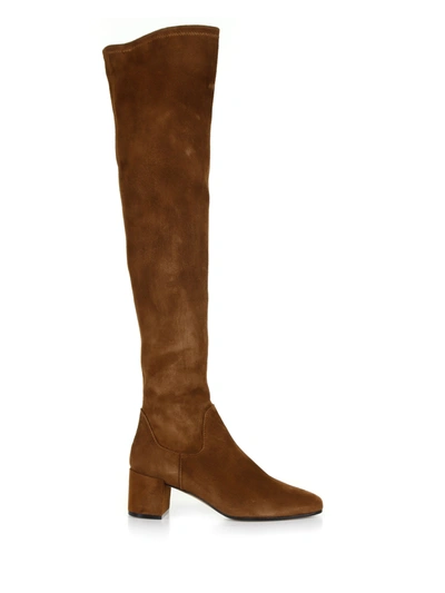 Shop Roberto Festa Over The Knee Suede Boots In Coffee