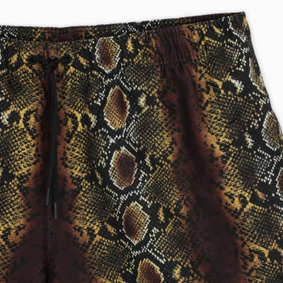 Shop Versace Phyton Print Swim Shorts In Multicolor